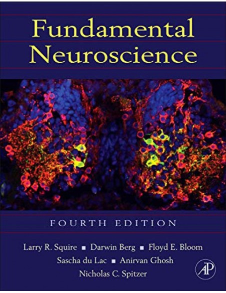 FUNDAMENTAL NEUROSCIENCE 4ª ED HARDCOVER 